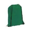 Mochila verde